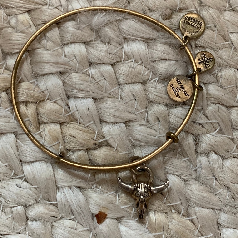 Alex and Ani Charm Bracelet